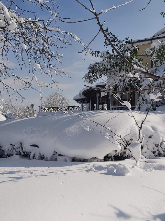 Bizim Ev Villa Sapanca Luaran gambar