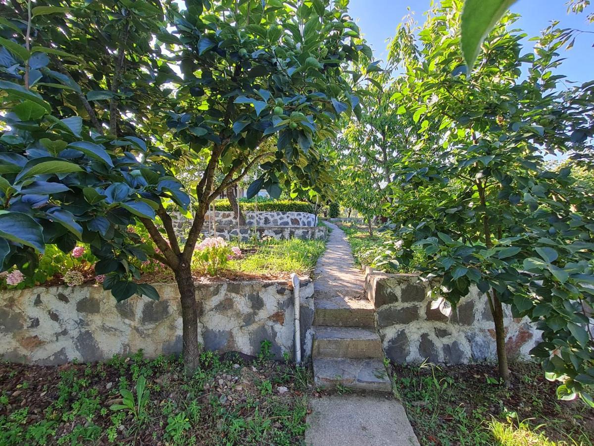 Bizim Ev Villa Sapanca Luaran gambar