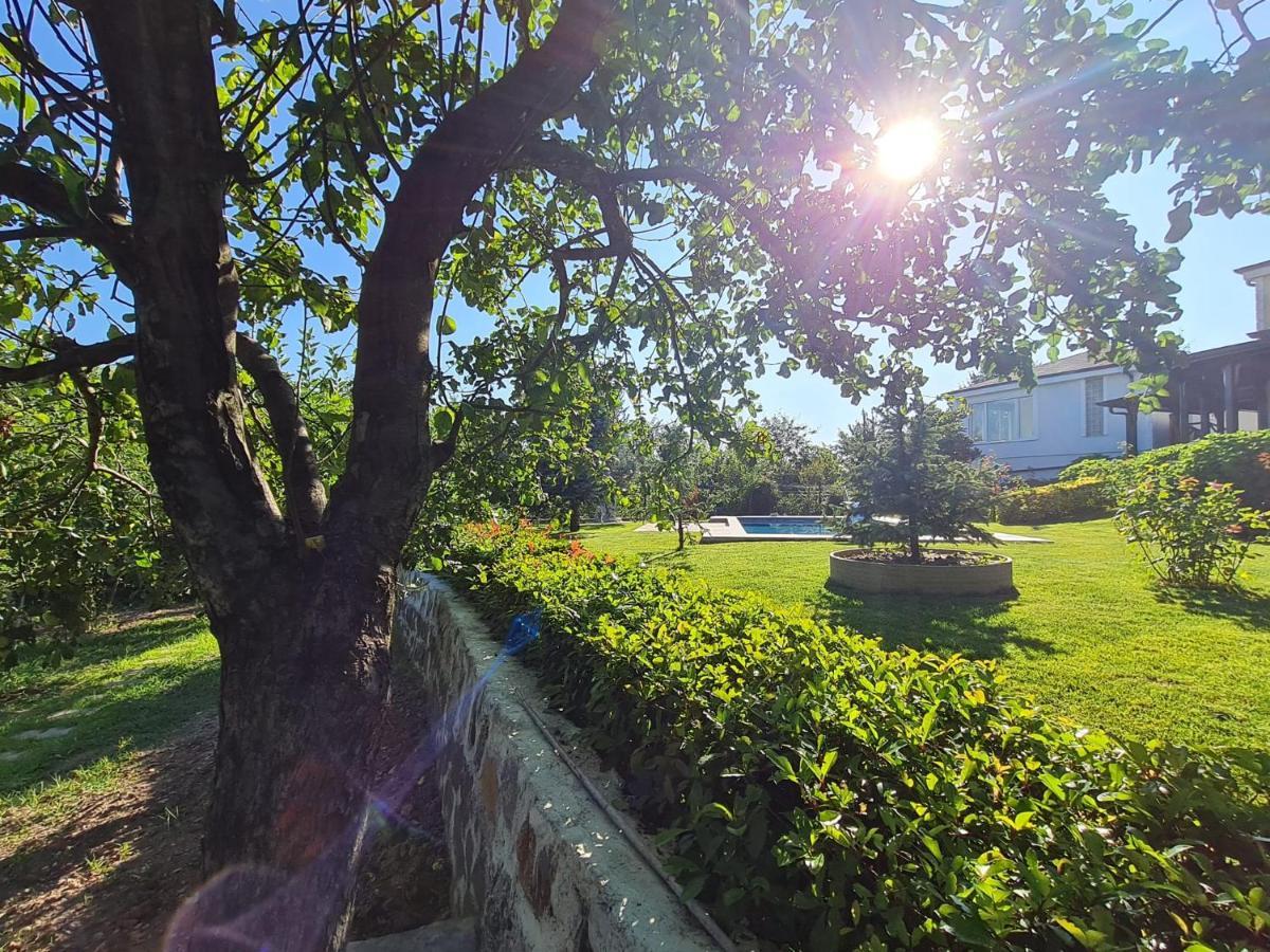 Bizim Ev Villa Sapanca Luaran gambar